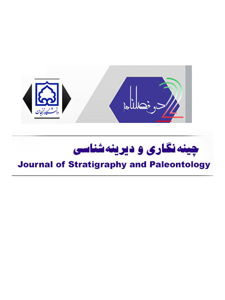 ZNU Image